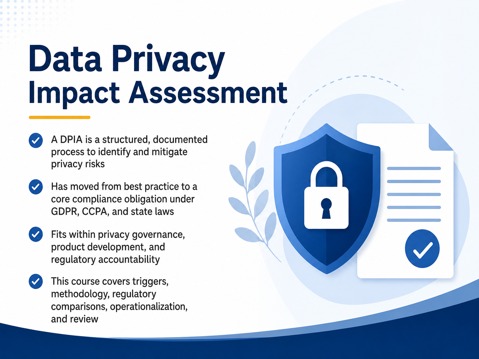 Data Privacy Impact Assessment