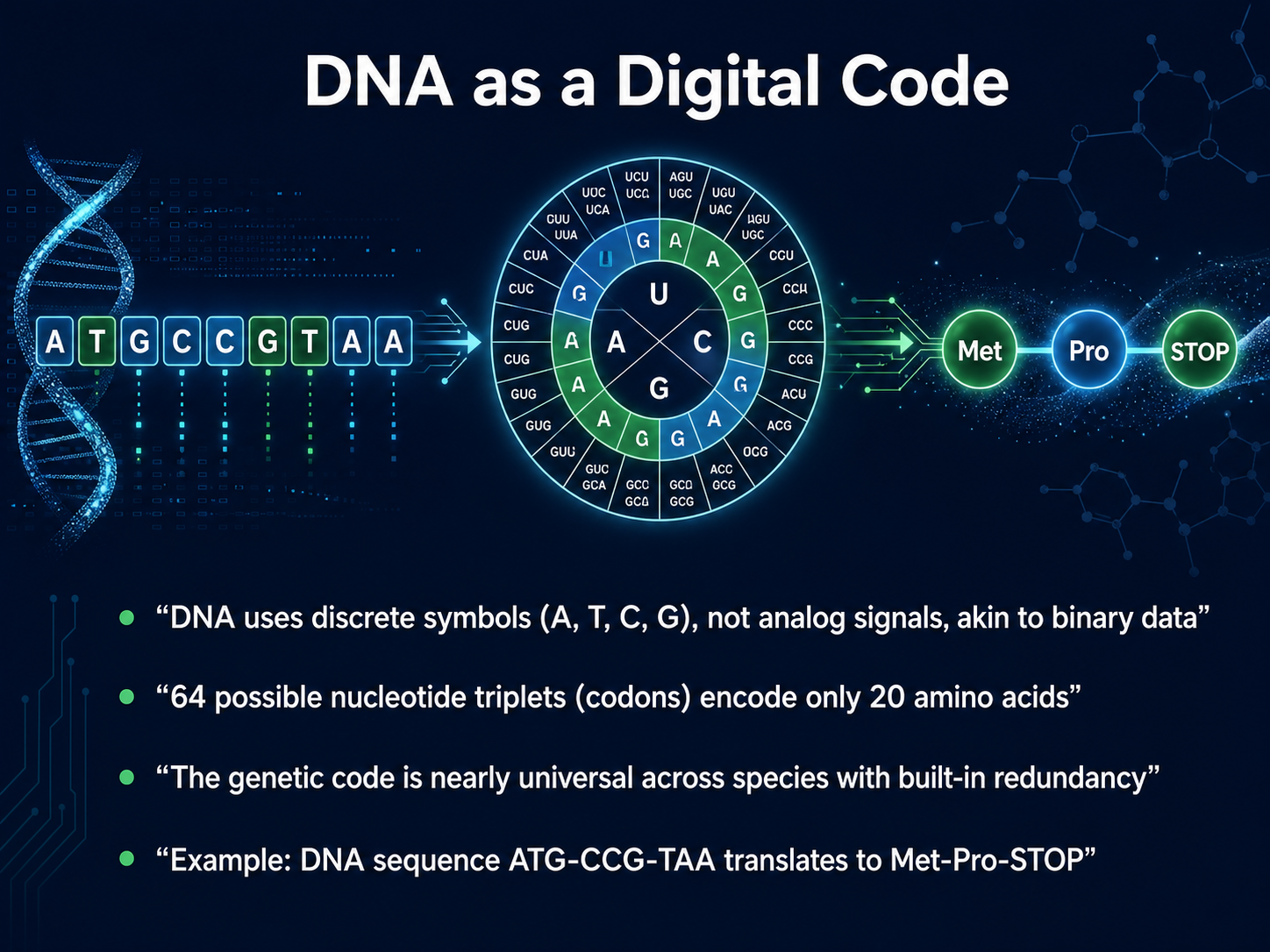 DNA as a Digital Code