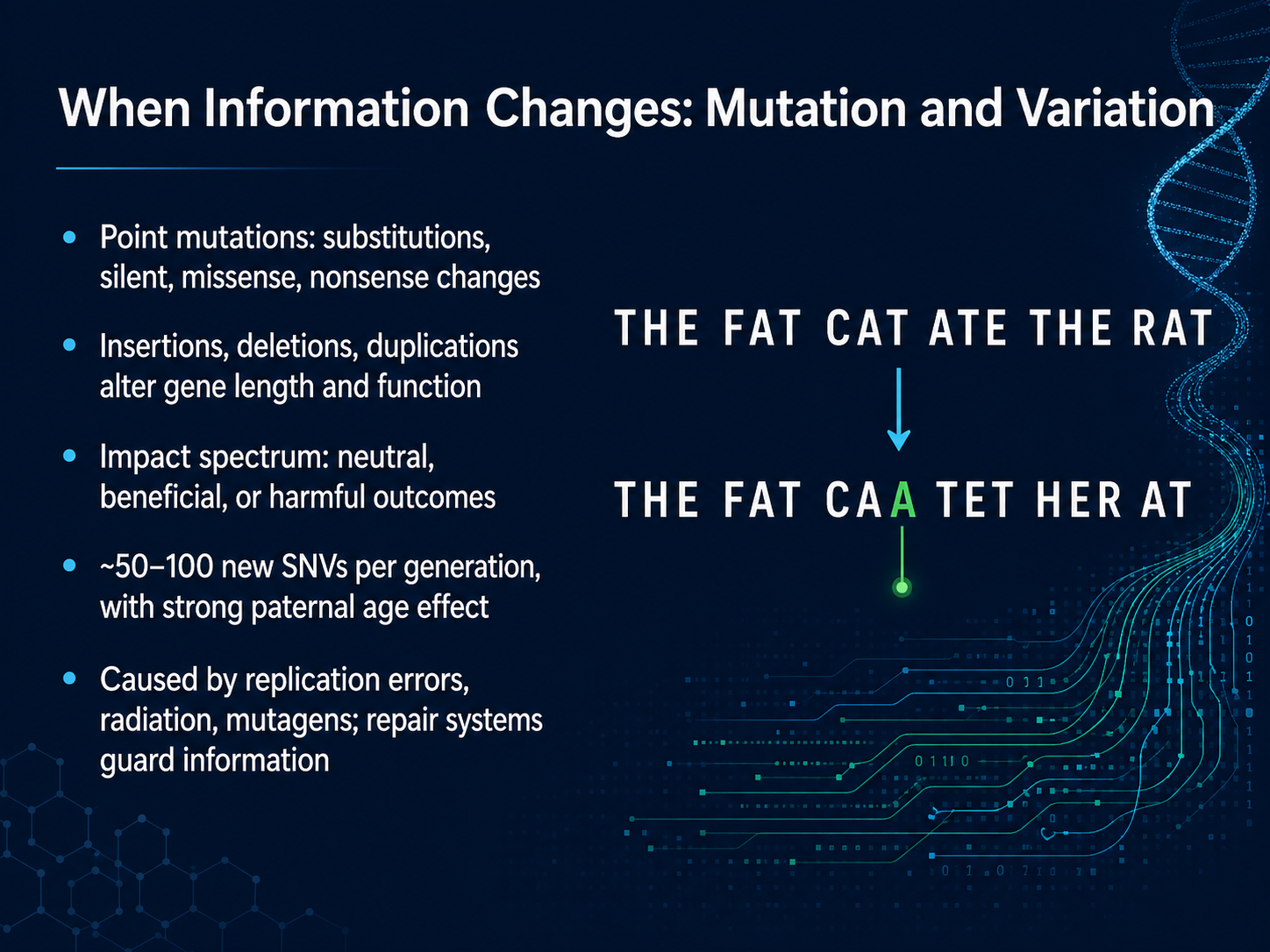 When Information Changes: Mutation and Variation