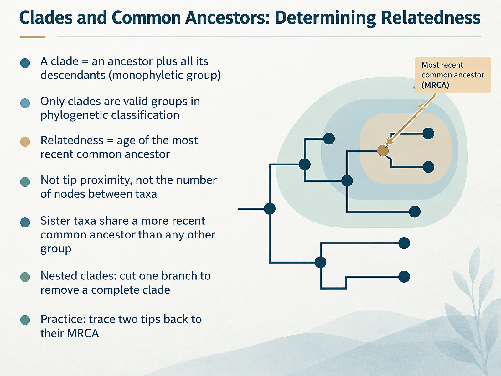 Clades and Common Ancestors: Determining Relatedness