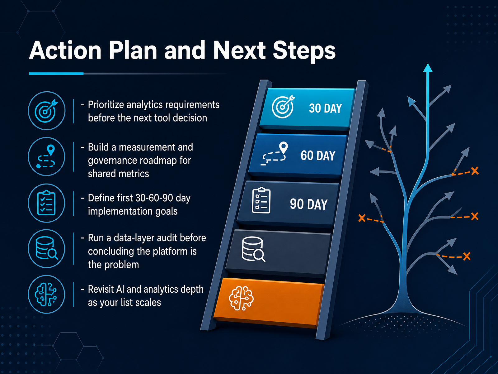 Action Plan and Next Steps