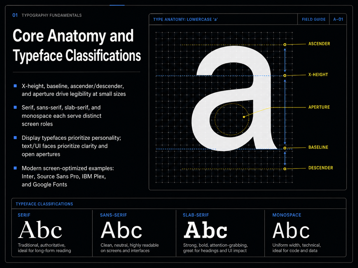 Core Anatomy and Typeface Classifications
