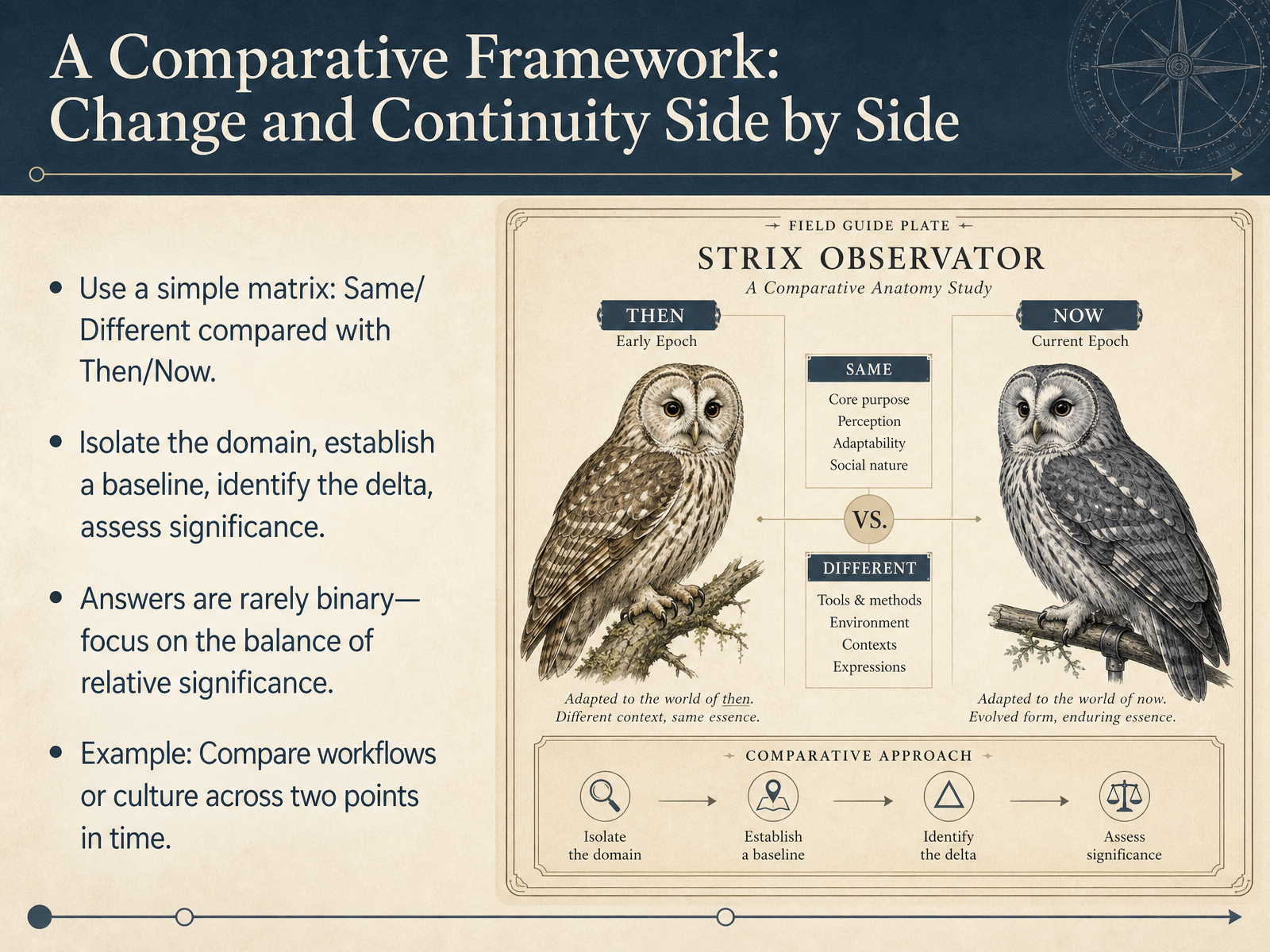 A Comparative Framework: Change and Continuity Side by Side
