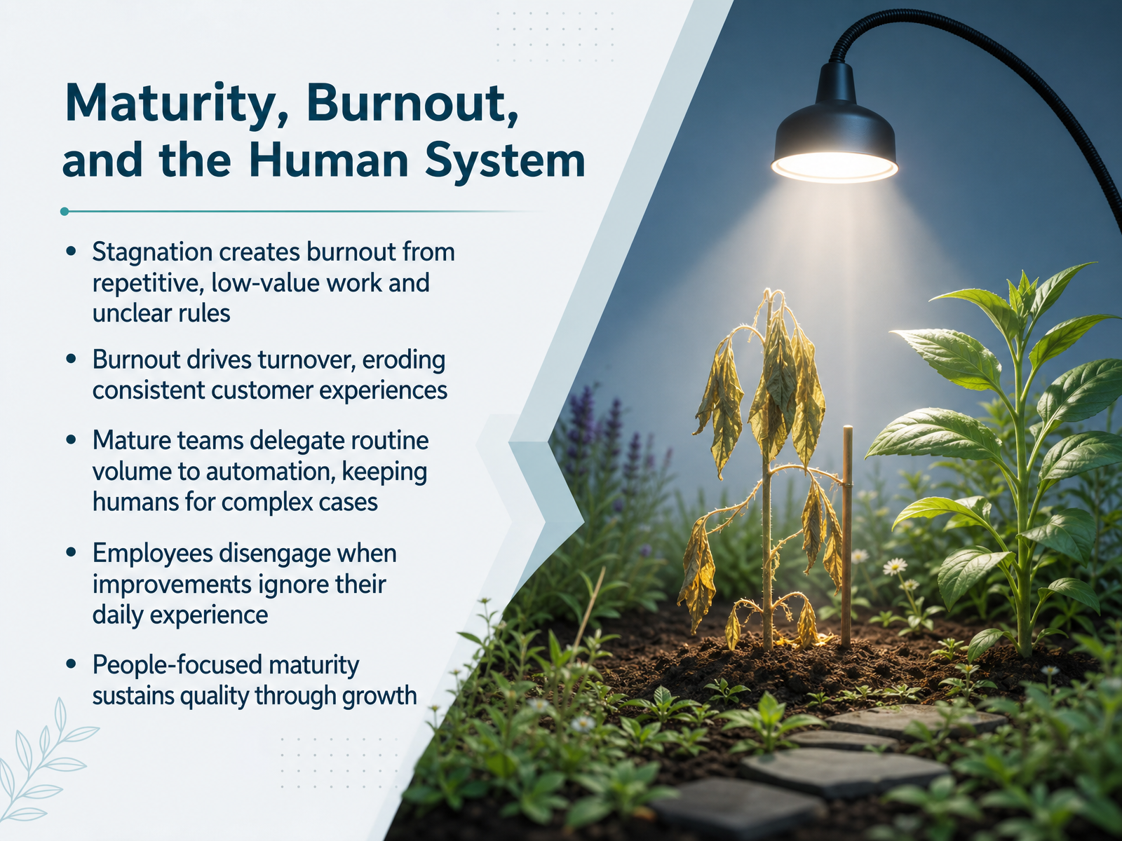 Maturity, Burnout, and the Human System