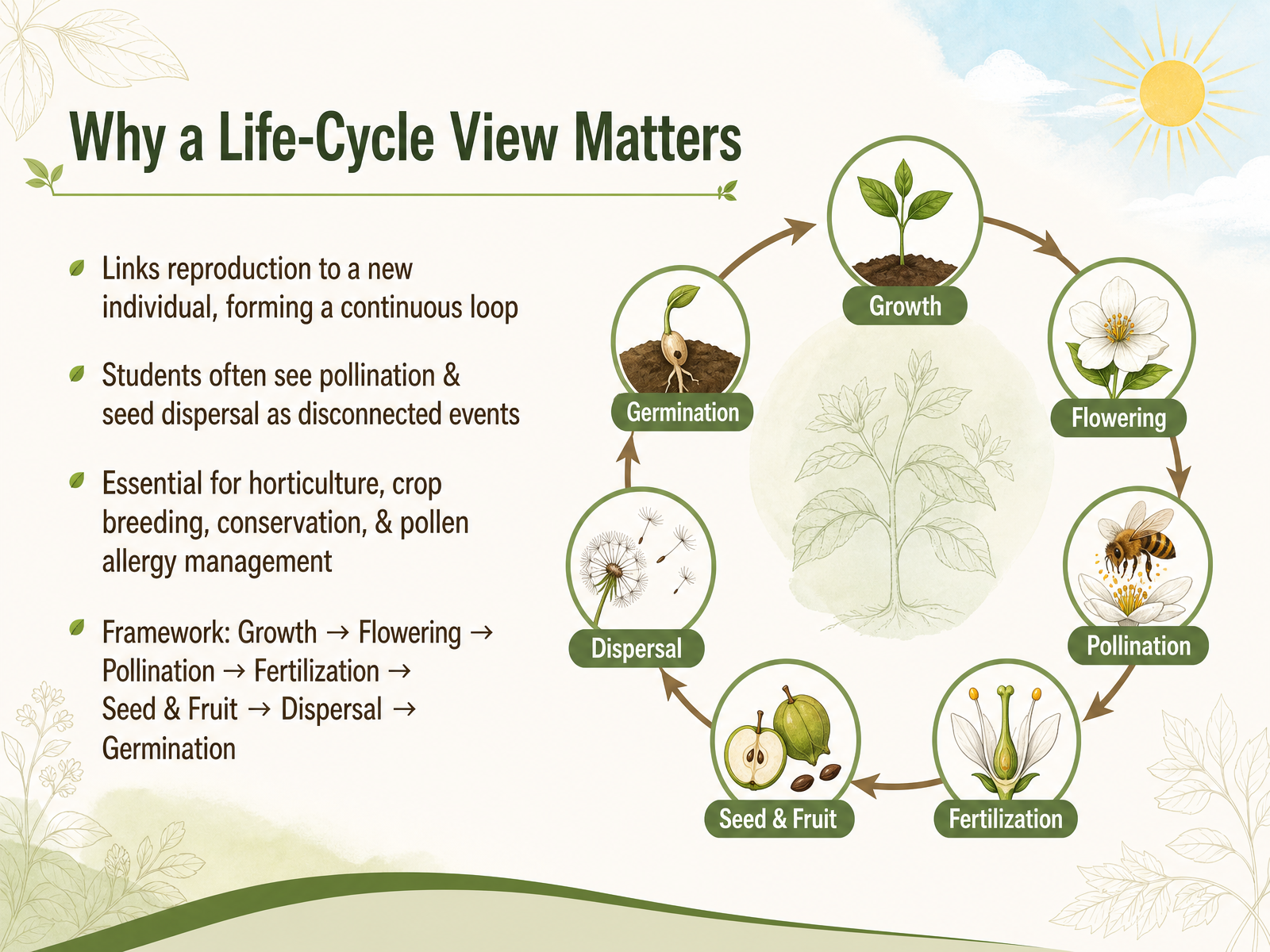 Why a Life-Cycle View Matters