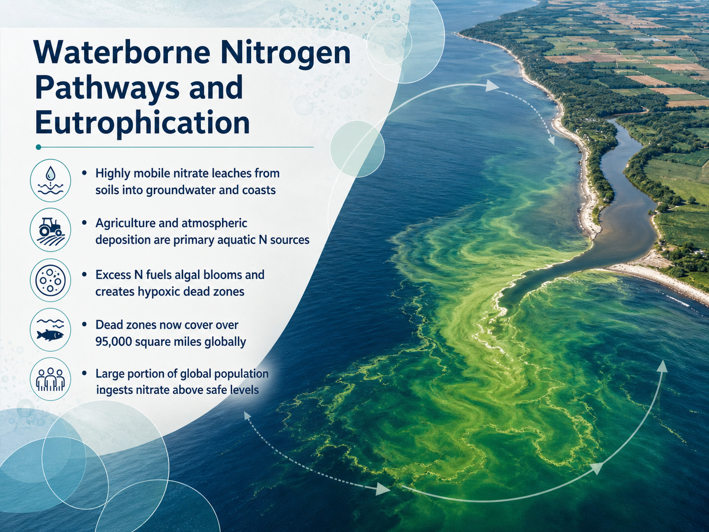 Waterborne Nitrogen Pathways and Eutrophication