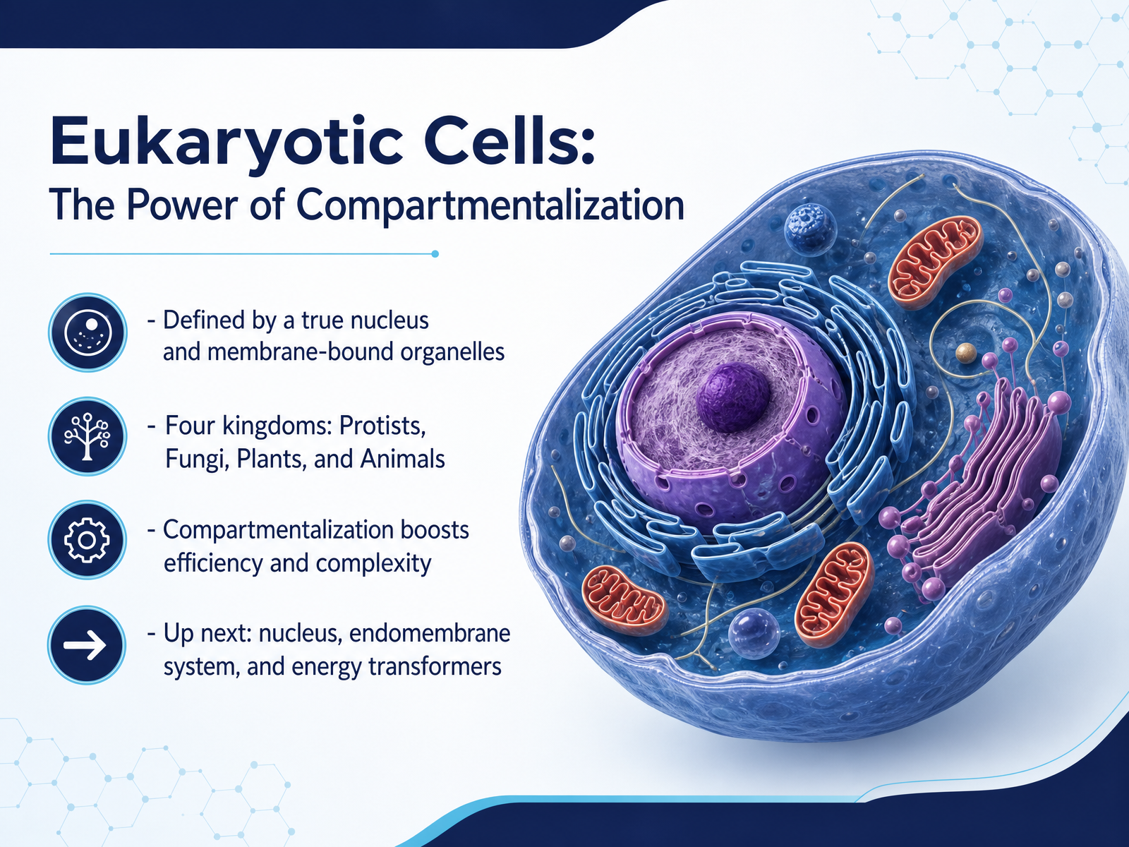 Eukaryotic Cells: The Power of Compartmentalization