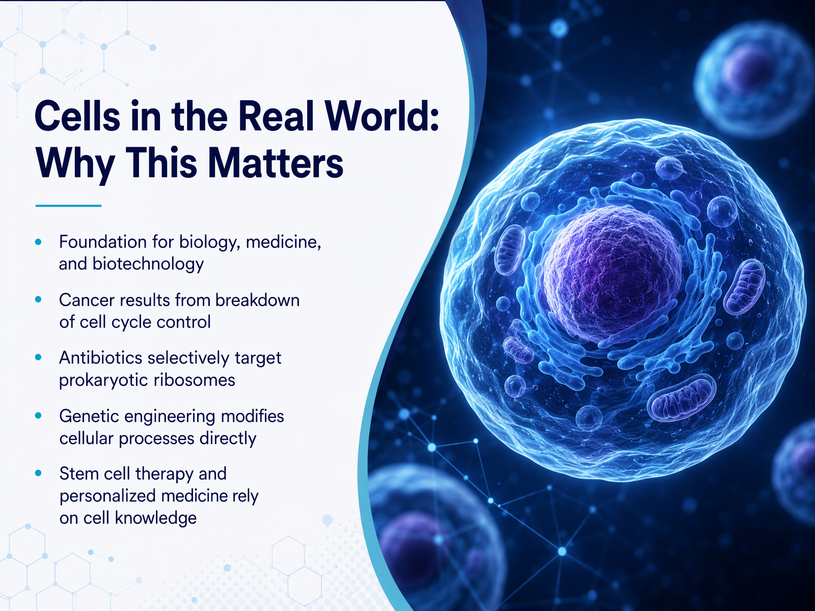 Cells in the Real World: Why This Matters
