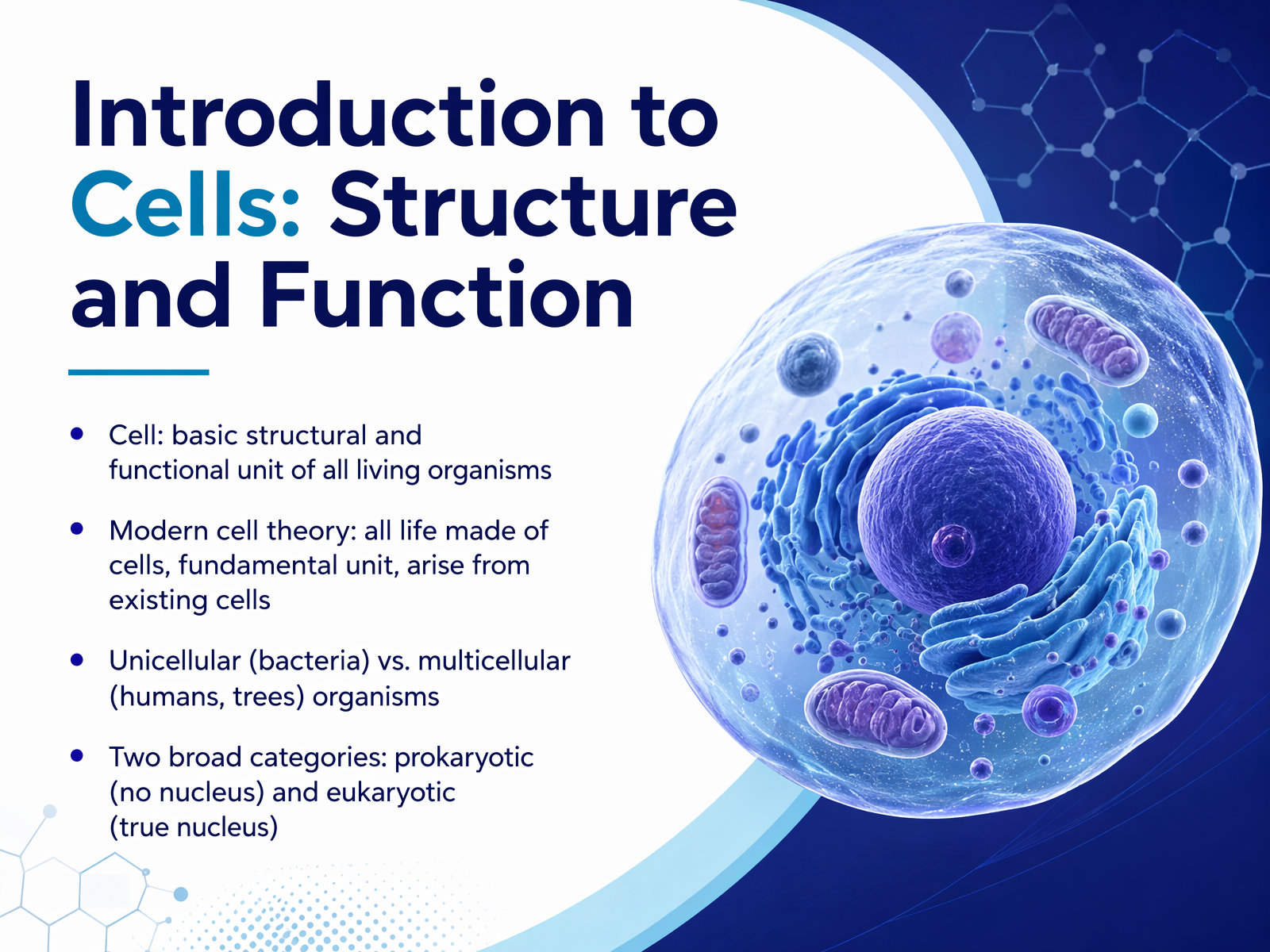 Cell Structure and Function