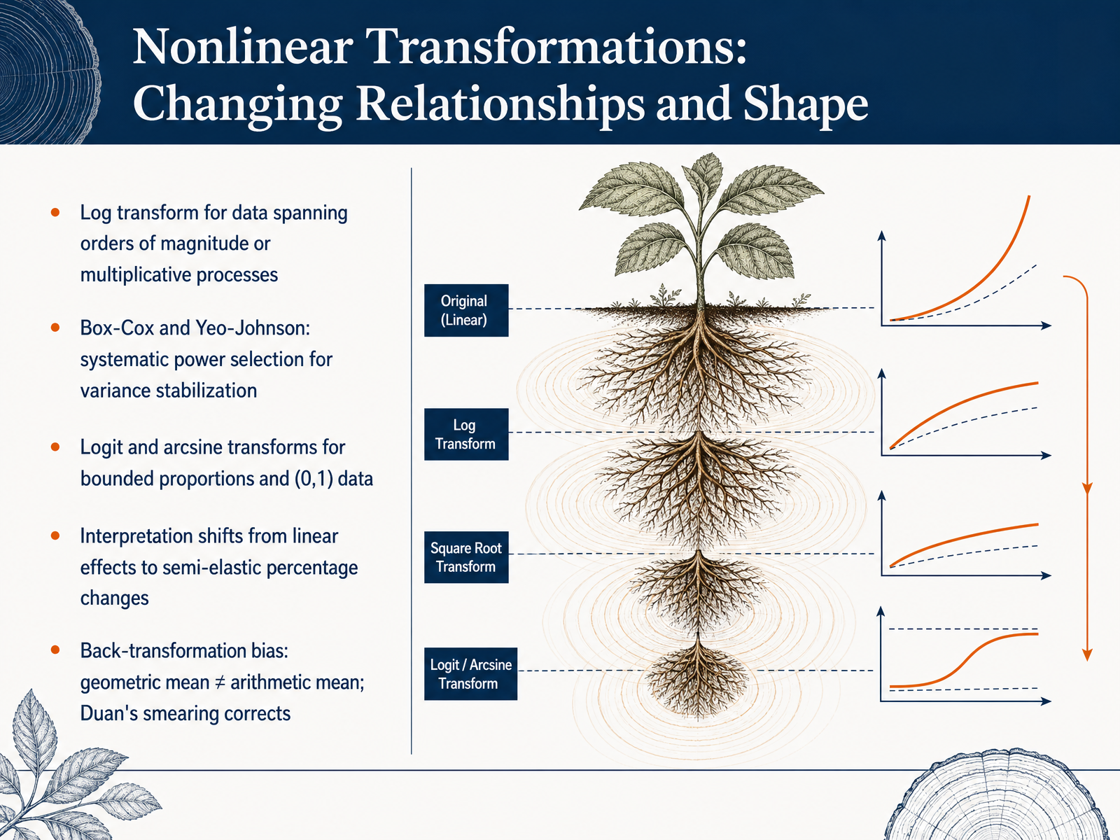 Nonlinear Transformations: Changing Relationships and Shape