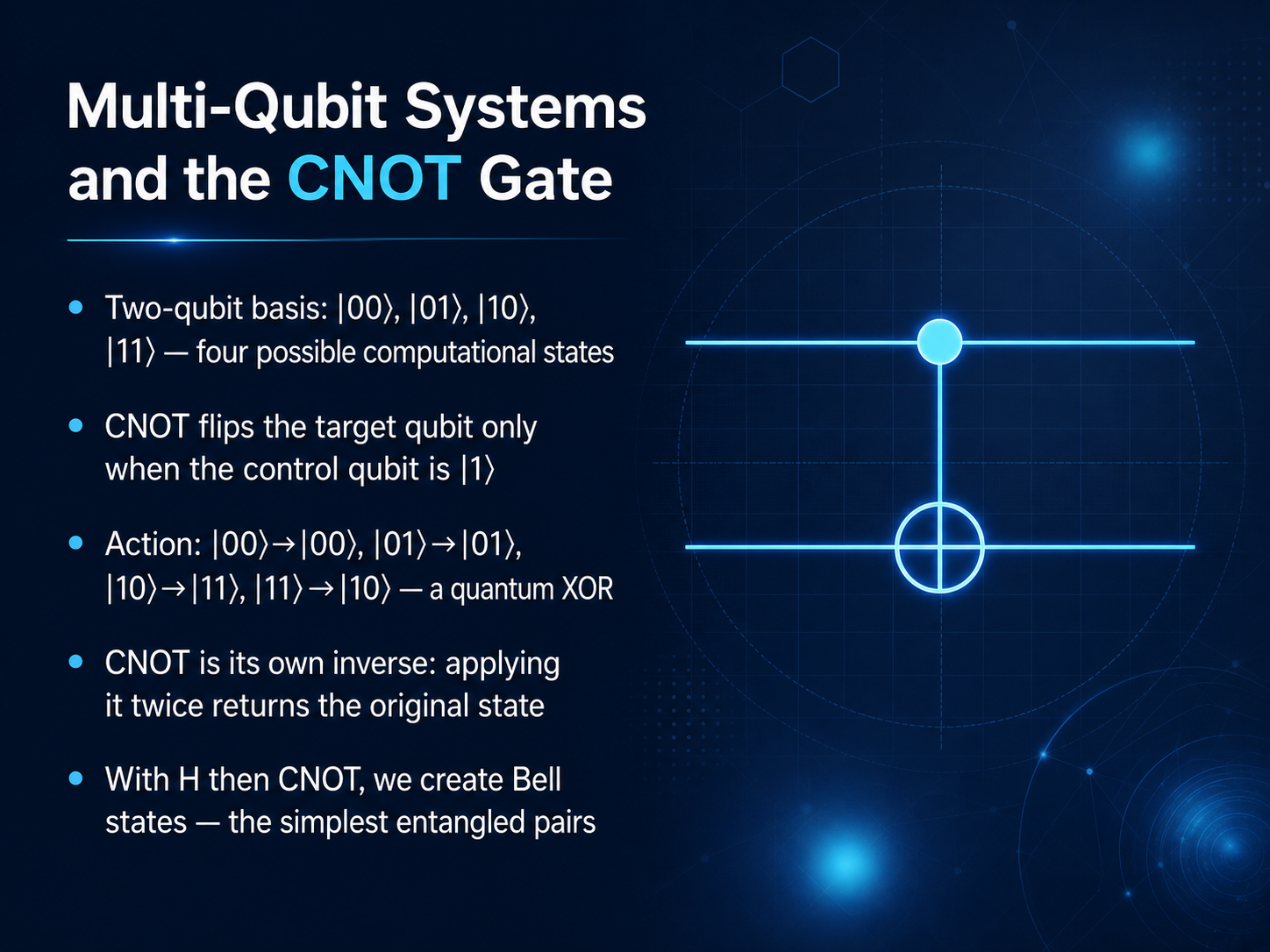 Multi-Qubit Systems and the CNOT Gate