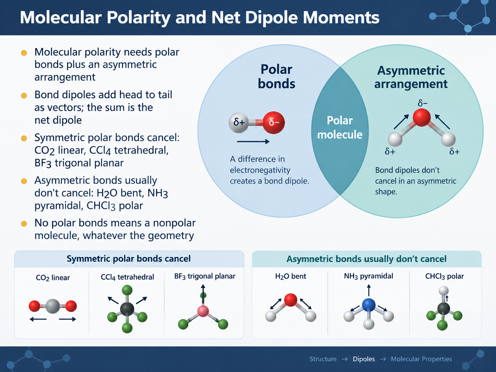Molecular Polarity and Net Dipole Moments