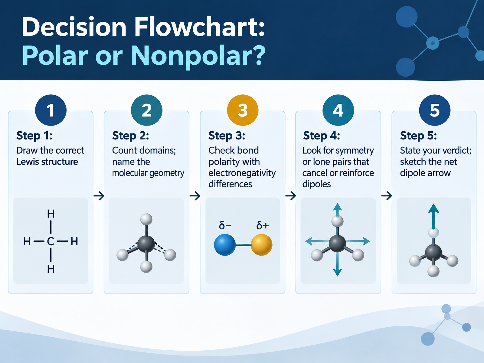 Decision Flowchart: Polar or Nonpolar?