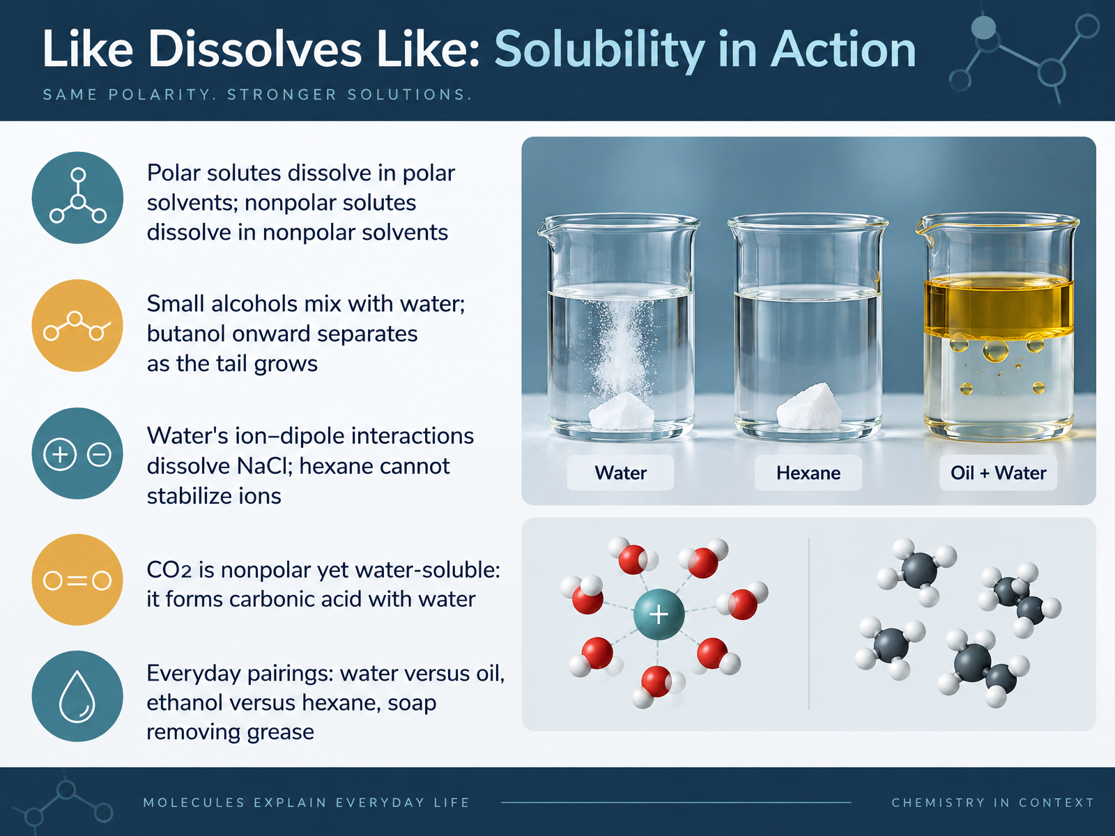Like Dissolves Like: Solubility in Action