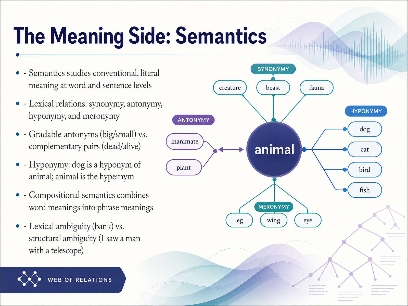 The Meaning Side: Semantics
