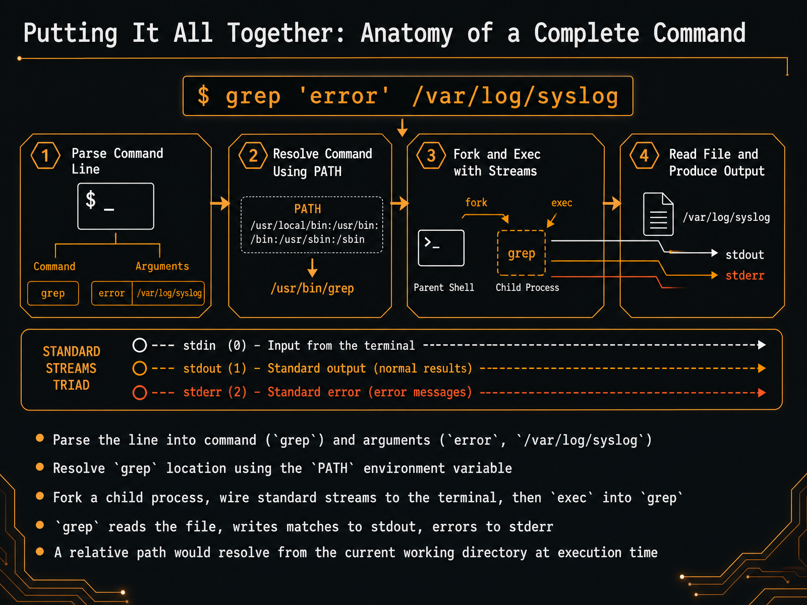 Putting It All Together: Anatomy of a Complete Command