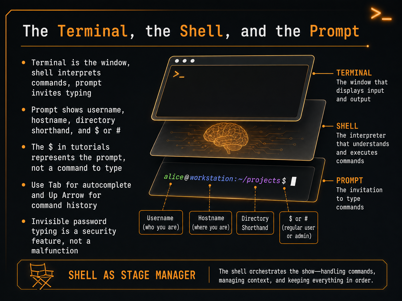 The Terminal, the Shell, and the Prompt