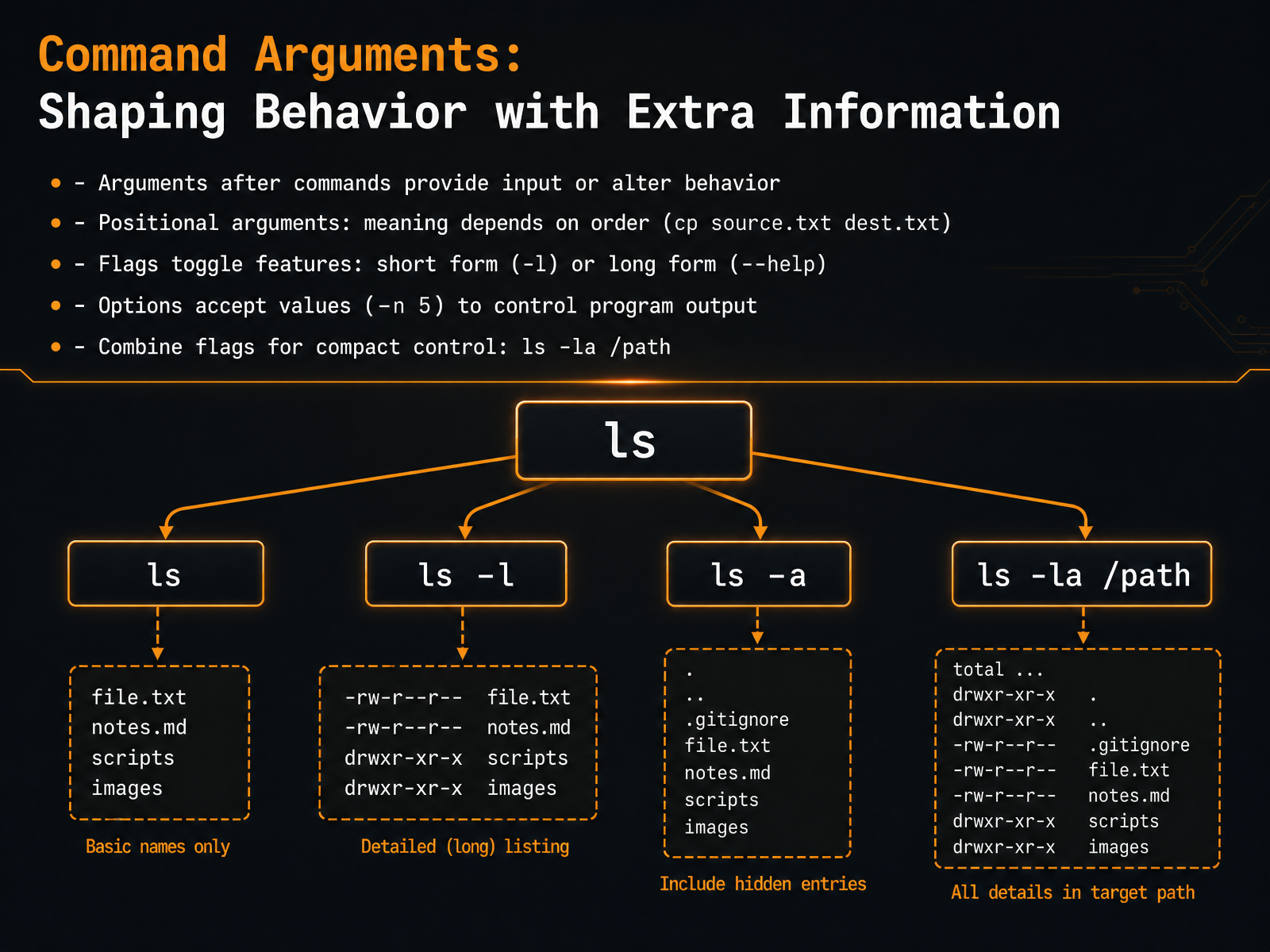 Command Arguments: Shaping Behavior with Extra Information