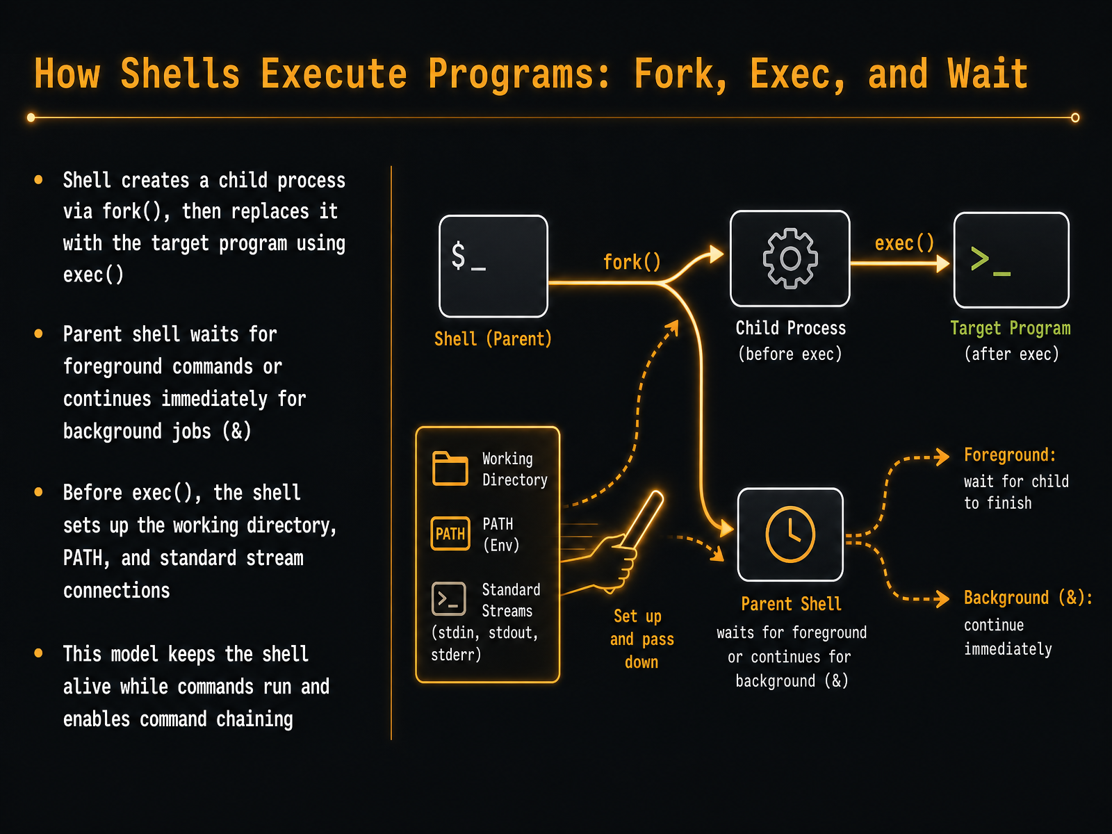 How Shells Execute Programs: Fork, Exec, and Wait