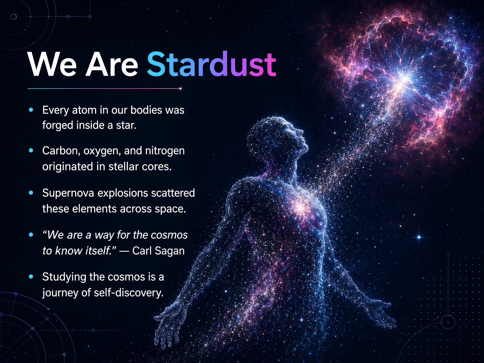 We Are Stardust