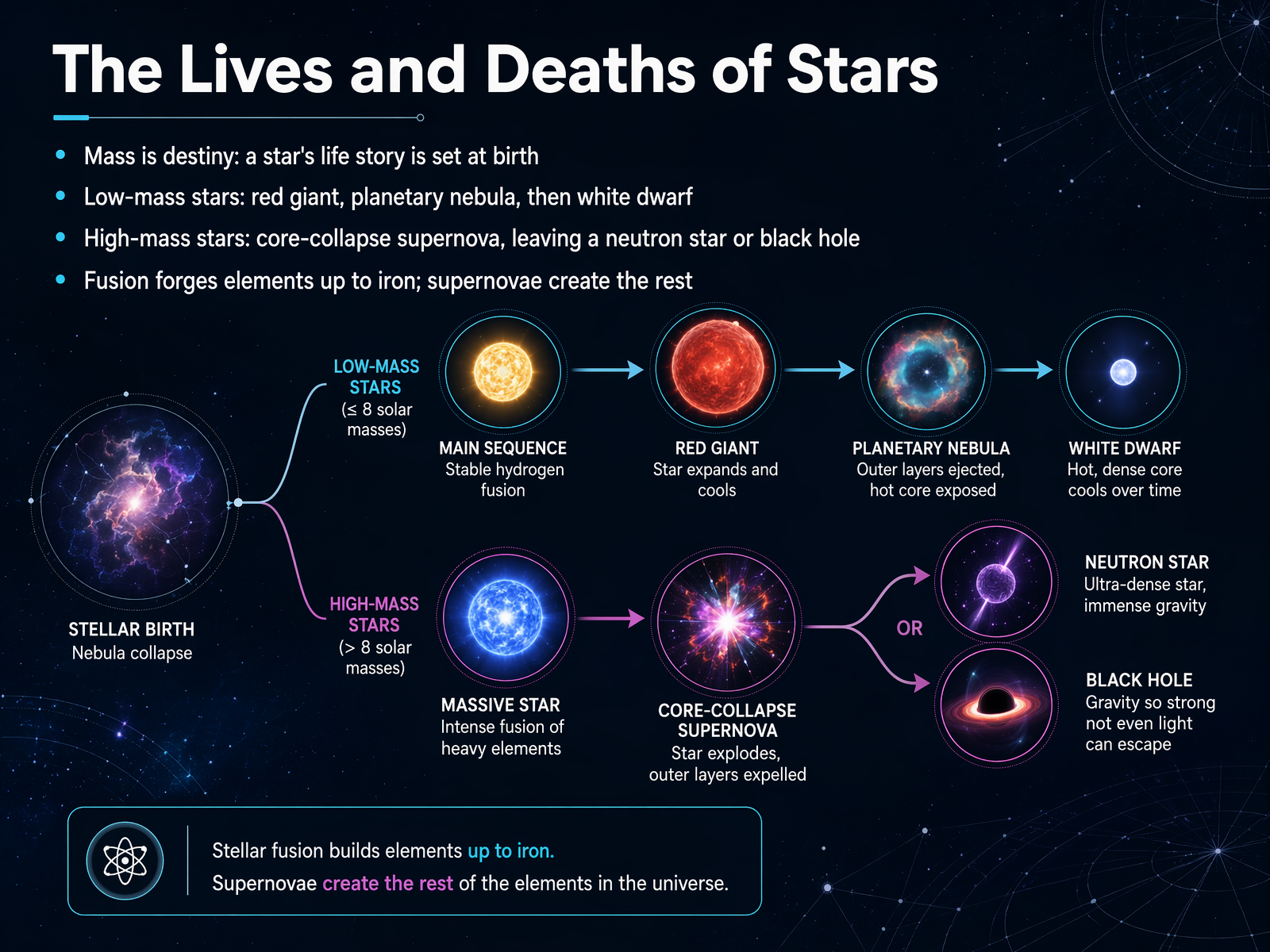 The Lives and Deaths of Stars