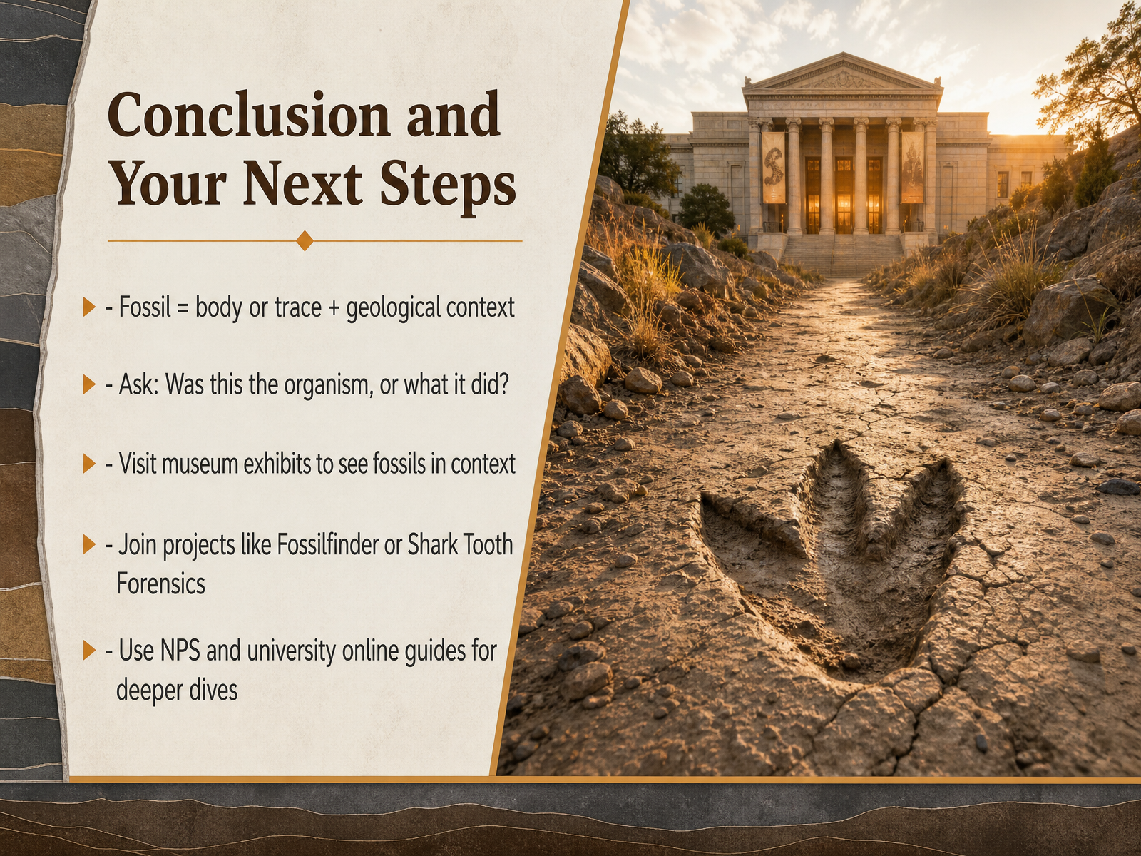 Conclusion and Your Next Steps