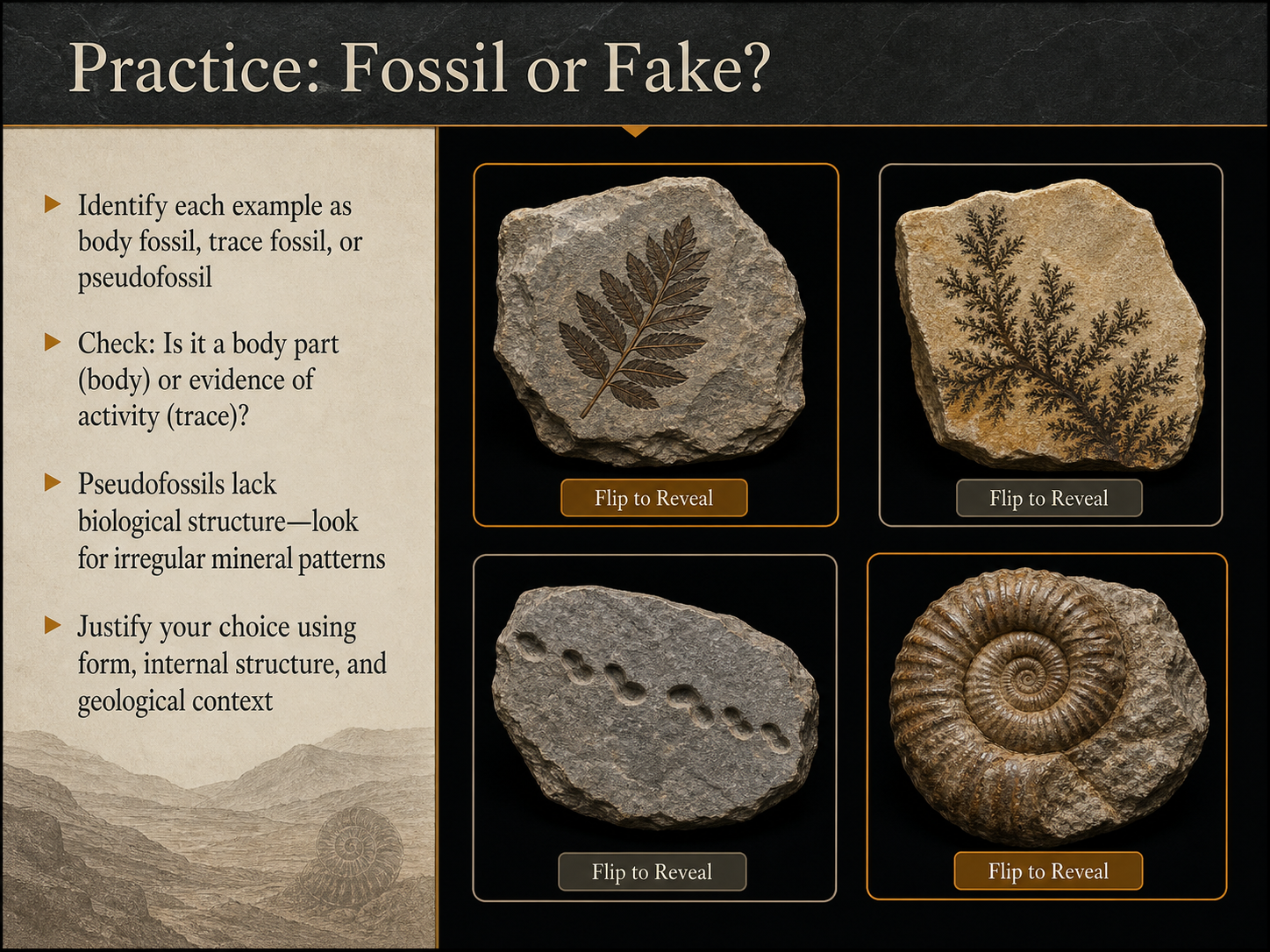 Practice: Fossil or Fake?