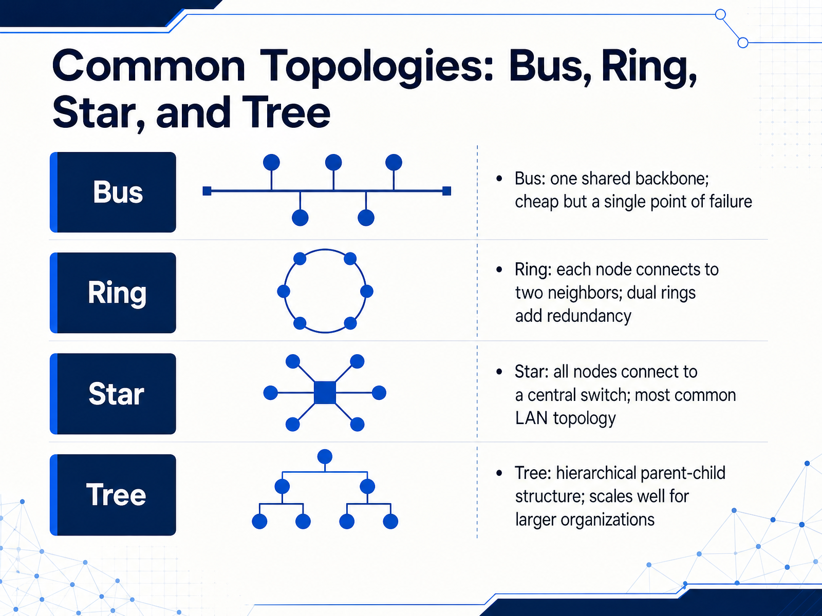 Common Topologies: Bus, Ring, Star, and Tree