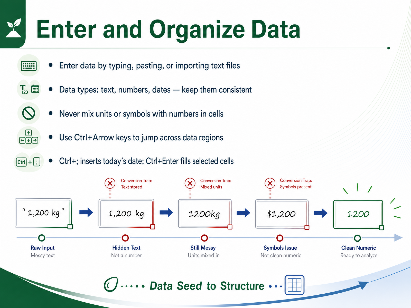 Enter and Organize Data