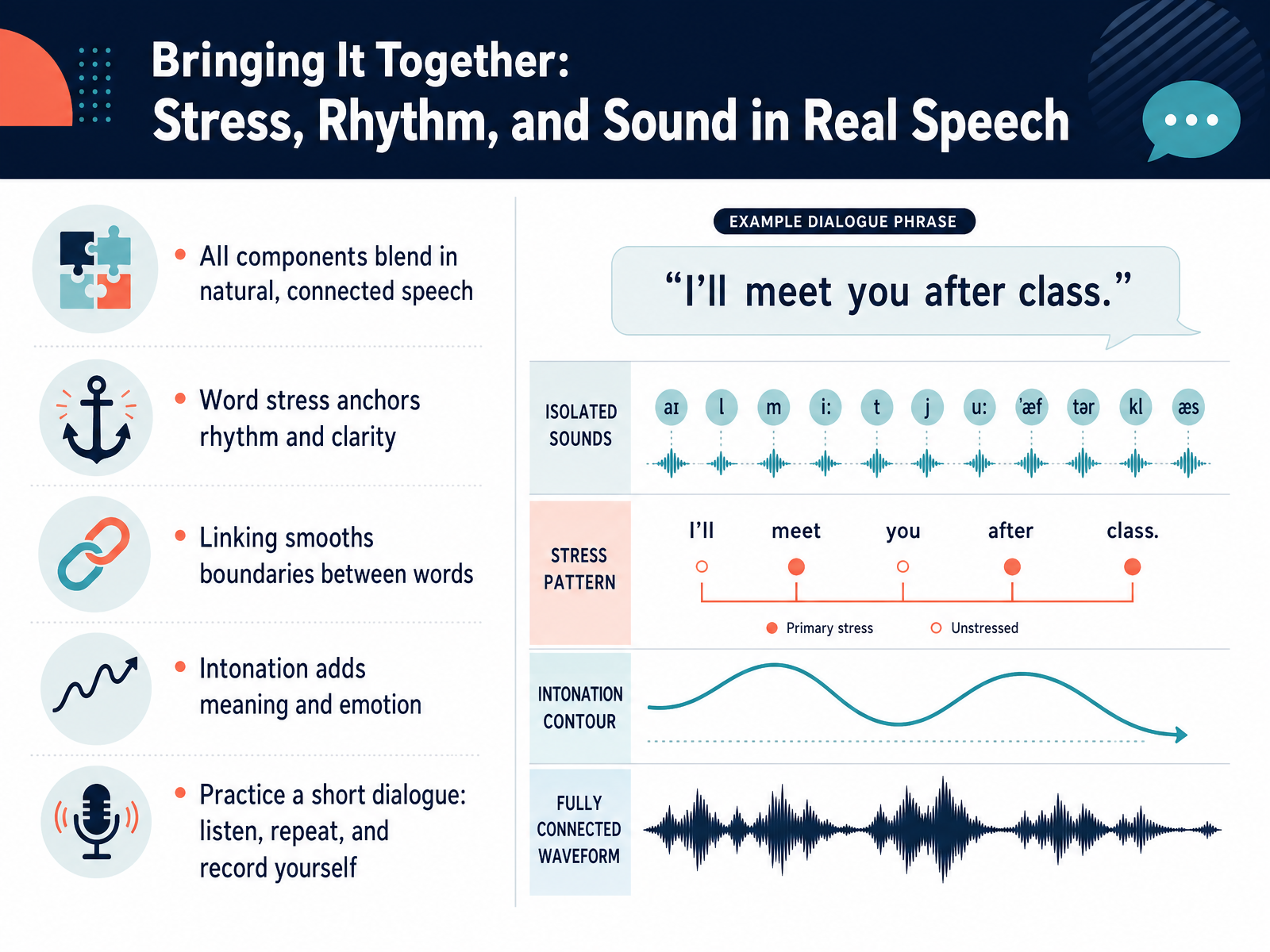 Bringing It Together: Stress, Rhythm, and Sound in Real Speech