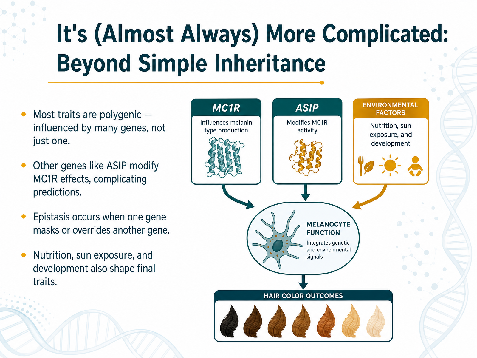 It's (Almost Always) More Complicated: Beyond Simple Inheritance