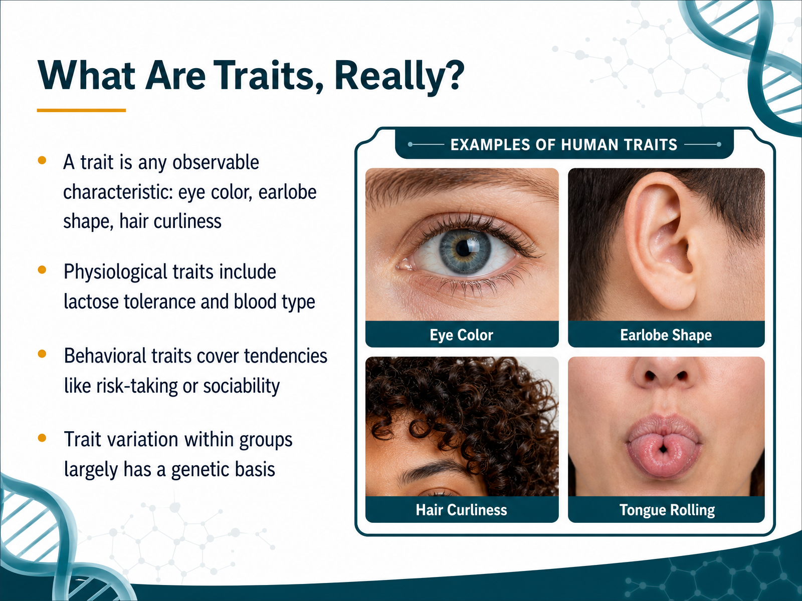 What Are Traits, Really?