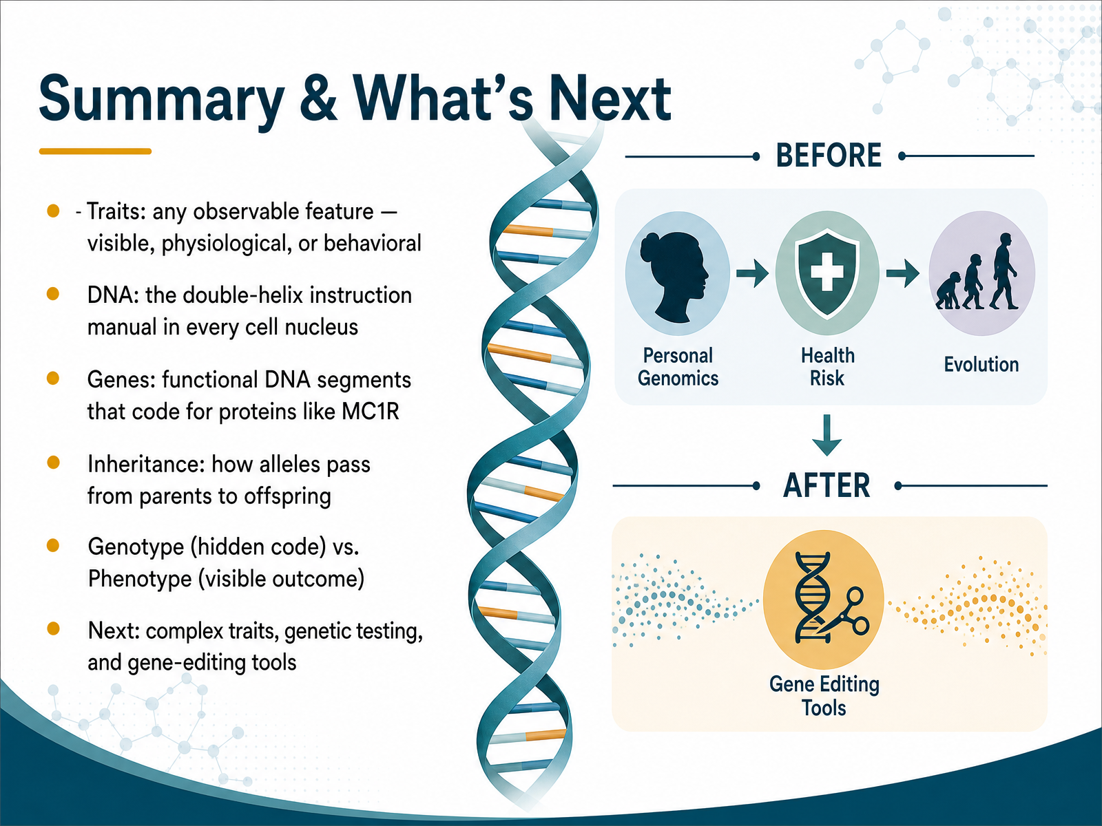 Summary & What's Next