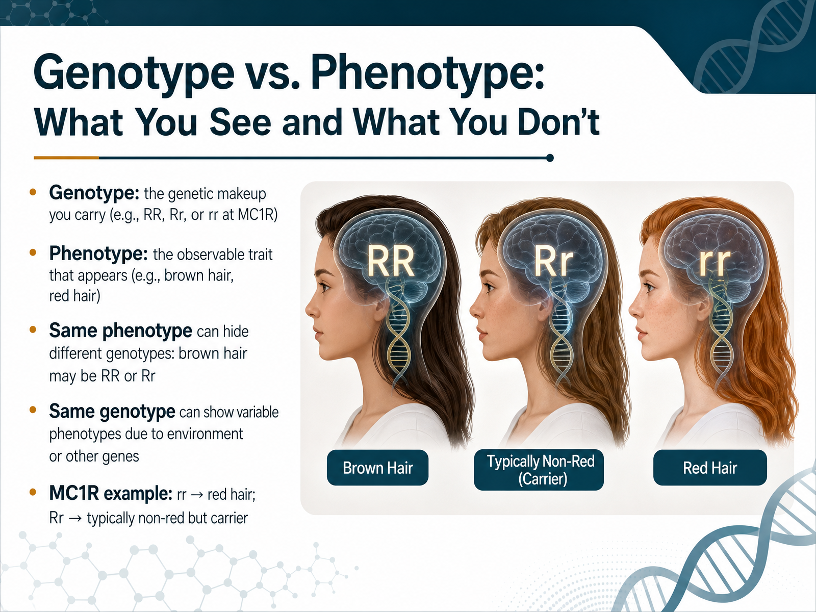 Genotype vs. Phenotype: What You See and What You Don't