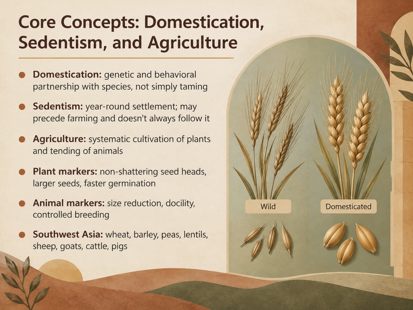 Core Concepts: Domestication, Sedentism, and Agriculture