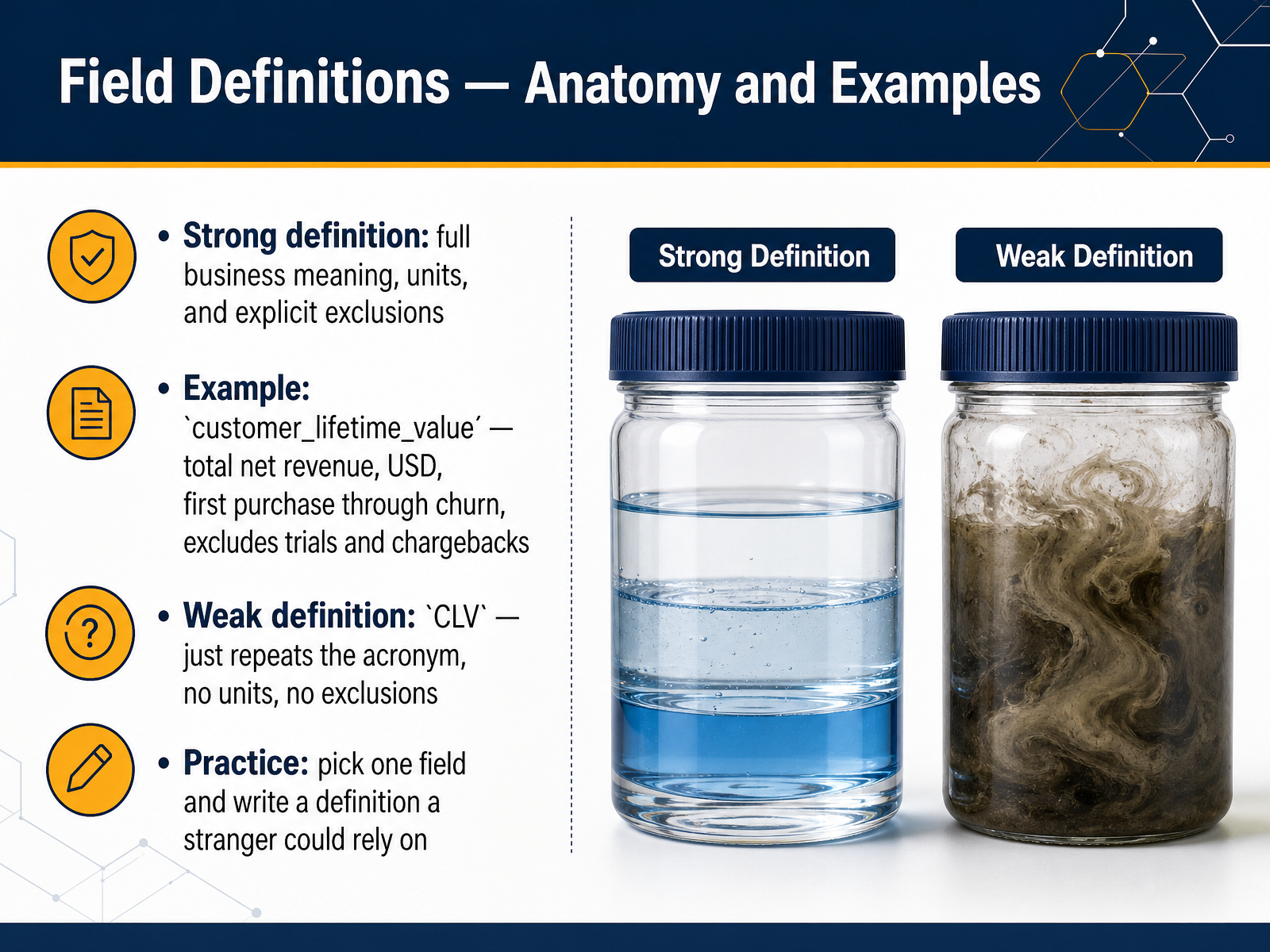 Field Definitions — Anatomy and Examples