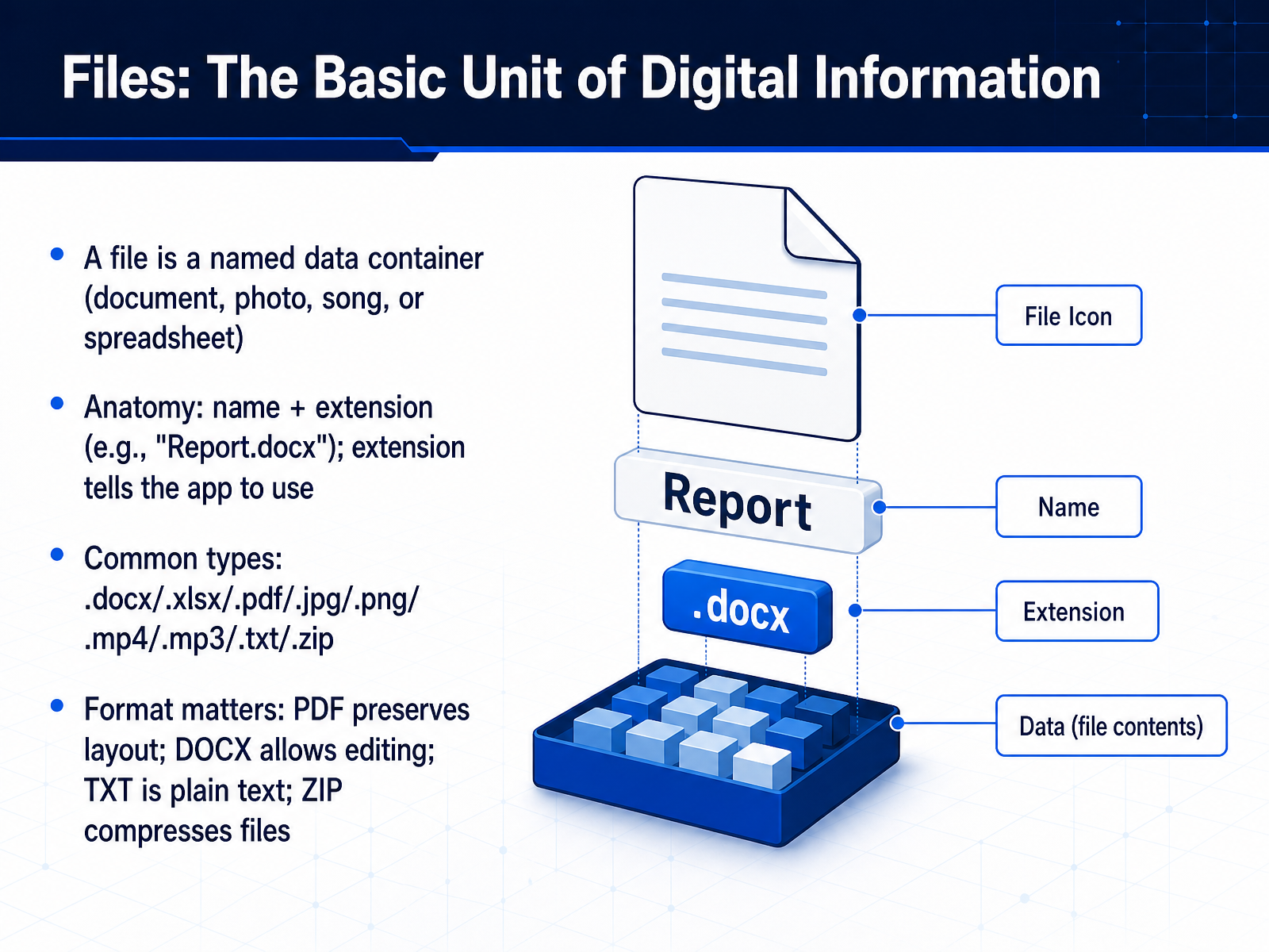Files: The Basic Unit of Digital Information