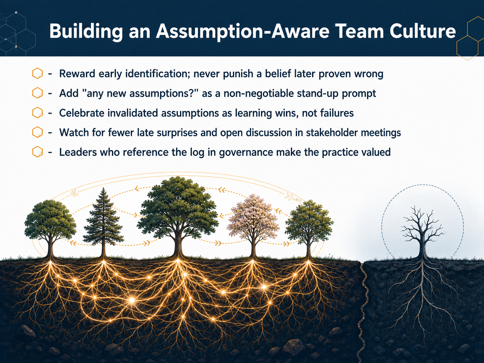 Building an Assumption-Aware Team Culture