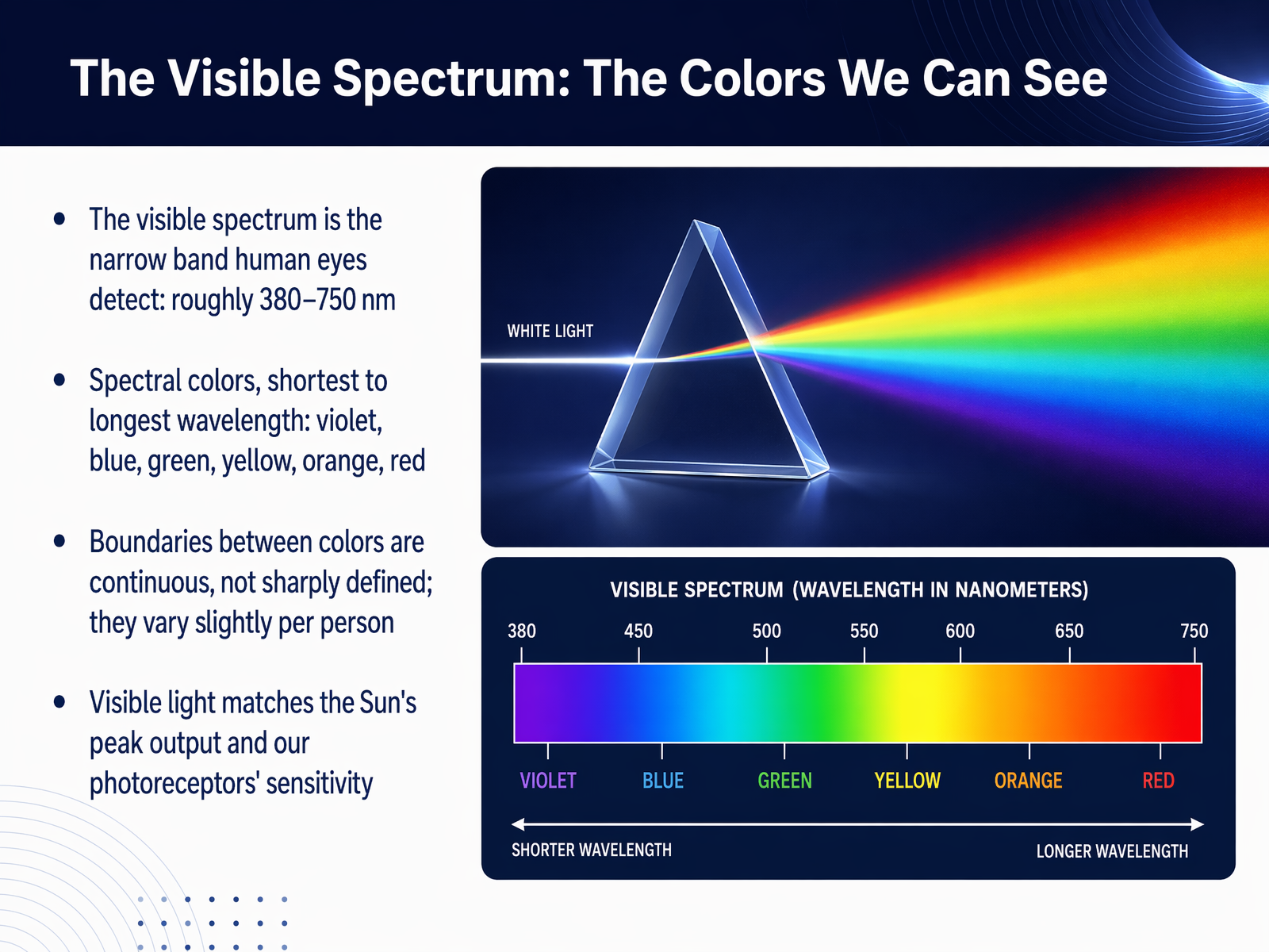 The Visible Spectrum: The Colors We Can See