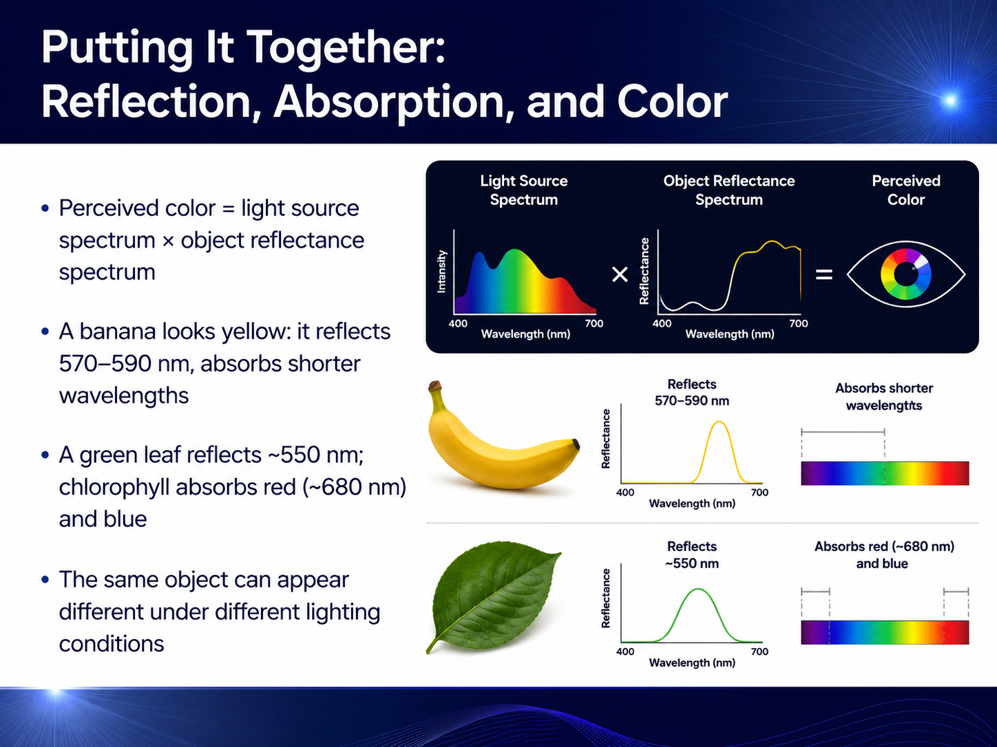 Putting It Together: Reflection, Absorption, and Color