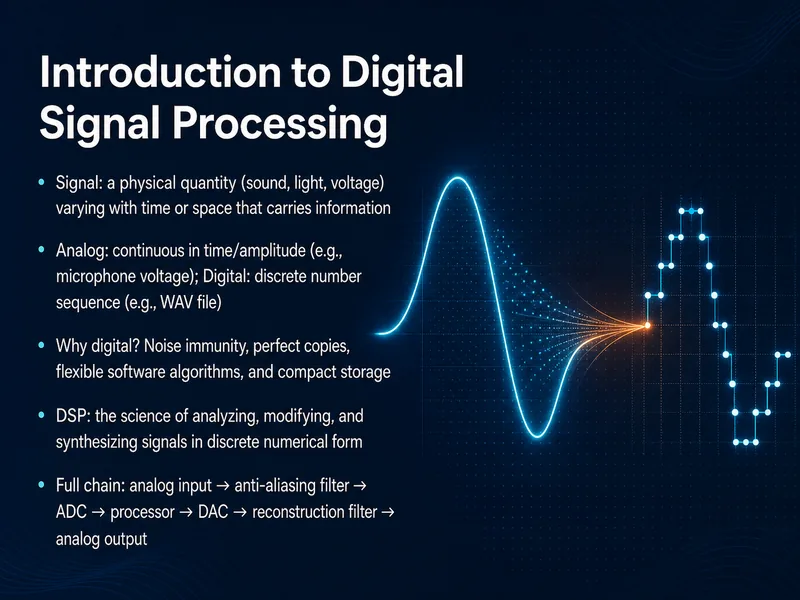 Digital Signal Processing Fundamentals — digital-human course