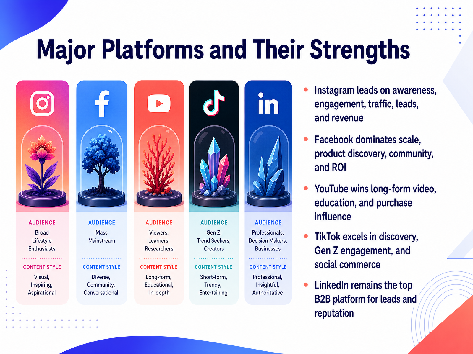 Major Platforms and Their Strengths