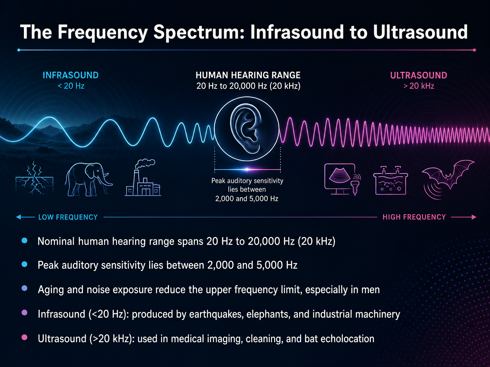The Frequency Spectrum: Infrasound to Ultrasound