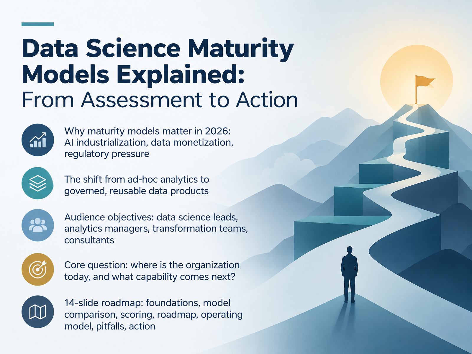 Data Science Maturity Models