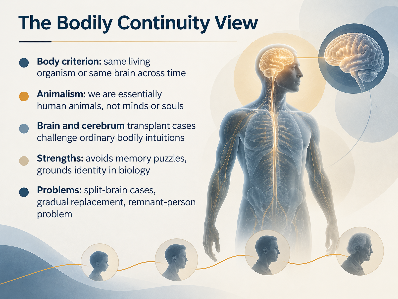 The Bodily Continuity View