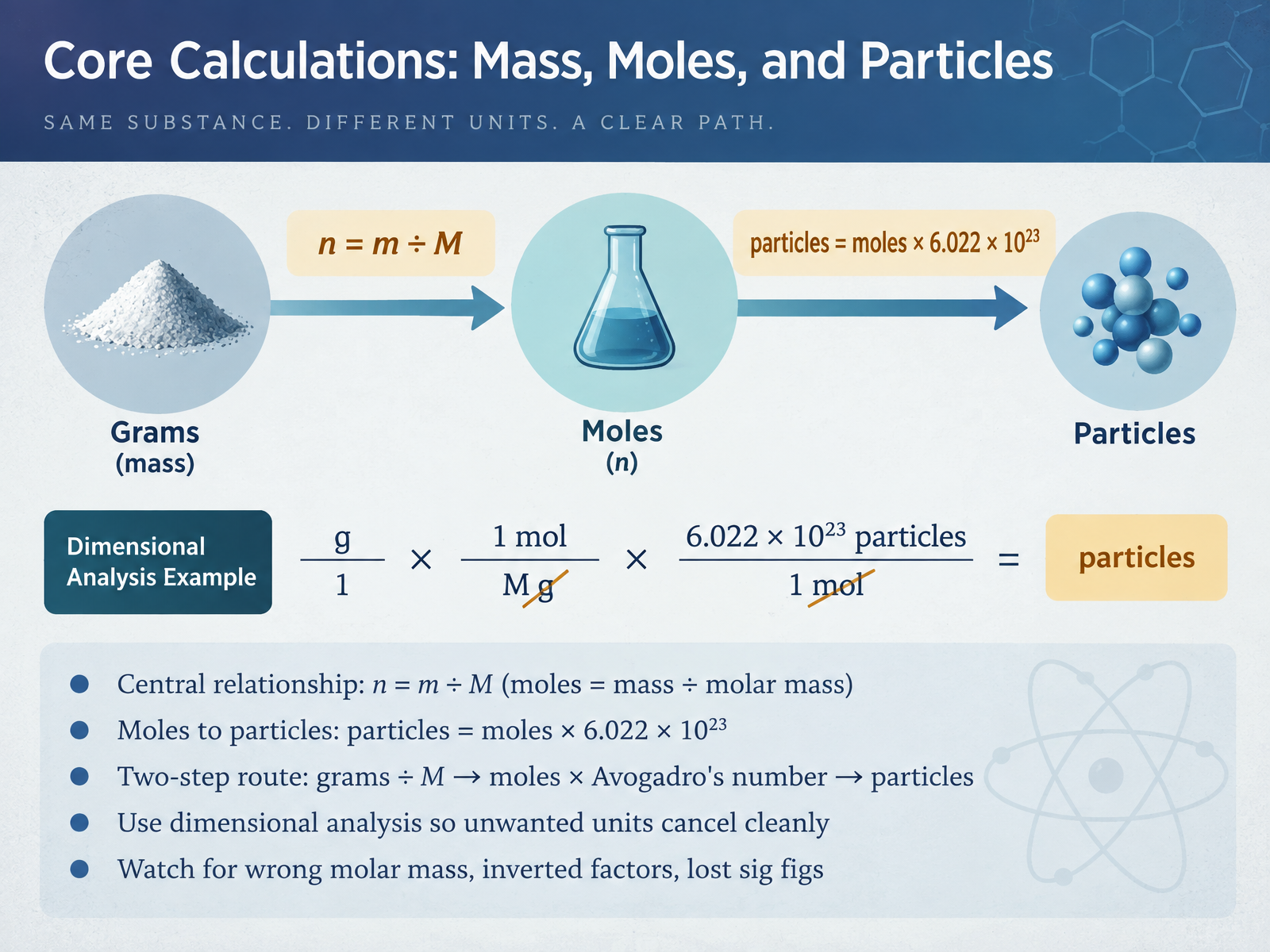 Core Calculations: Mass, Moles, and Particles
