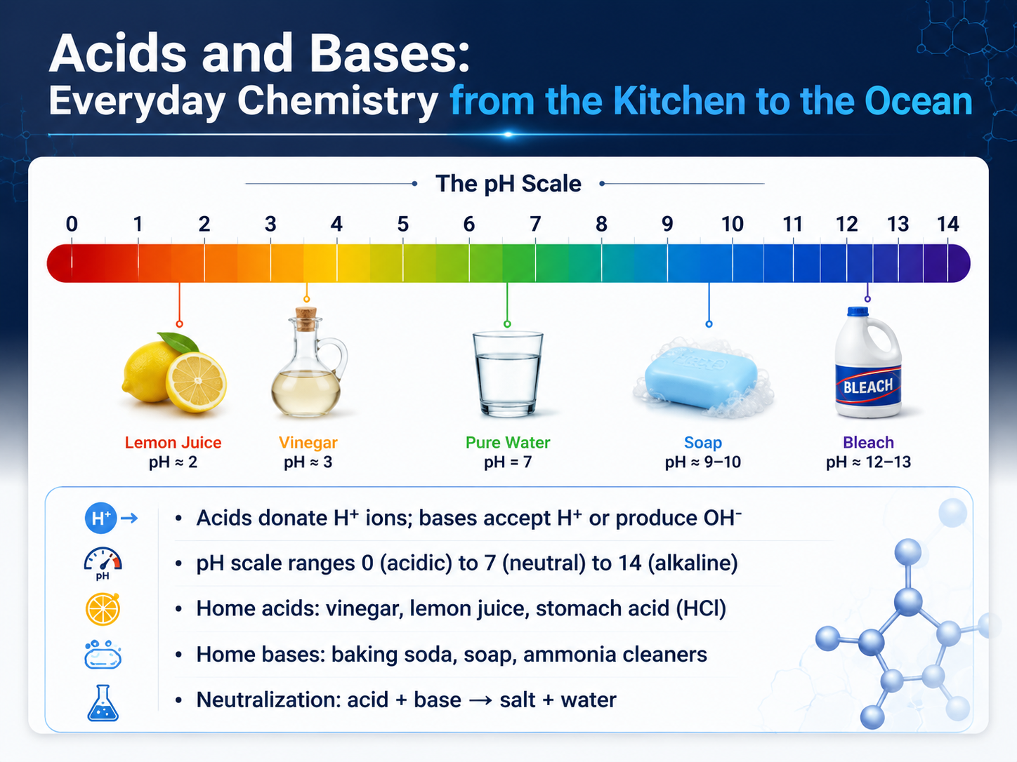 Acids and Bases: Everyday Chemistry from the Kitchen to the Ocean