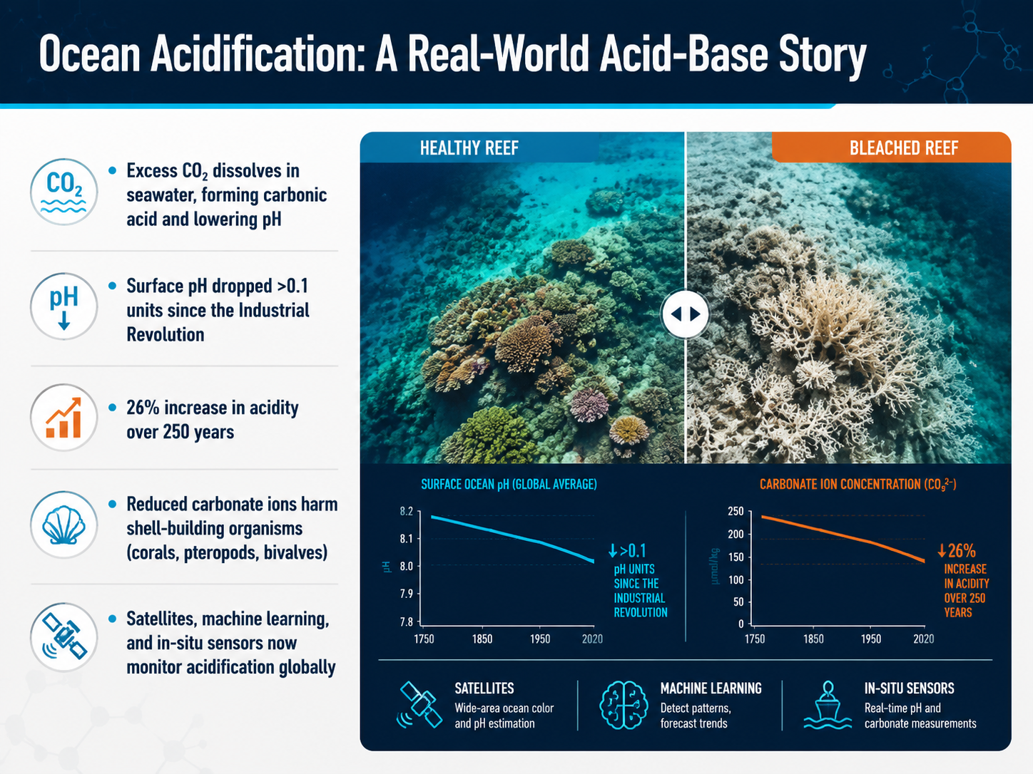 Ocean Acidification: A Real-World Acid-Base Story