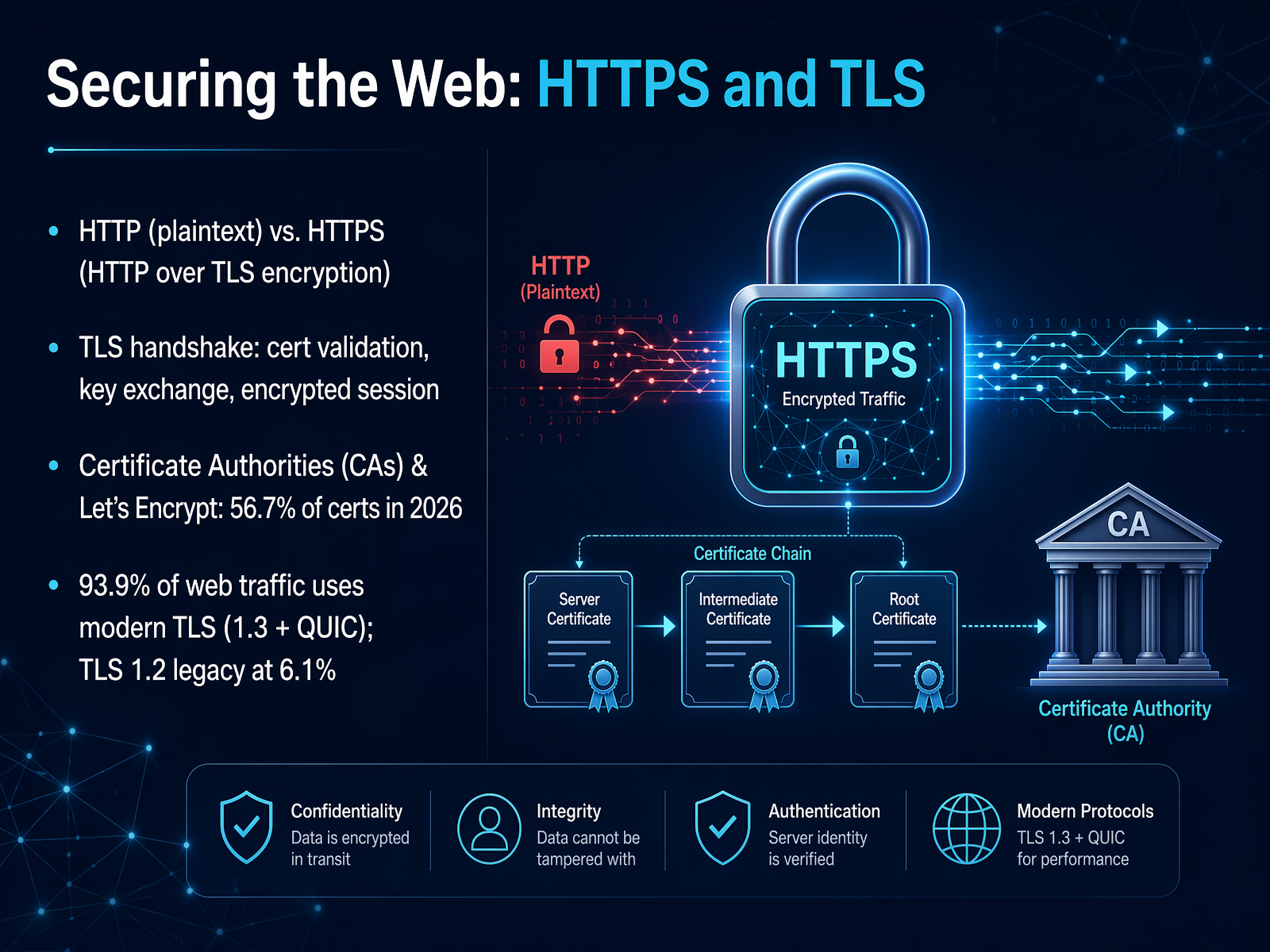 Securing the Web: HTTPS and TLS