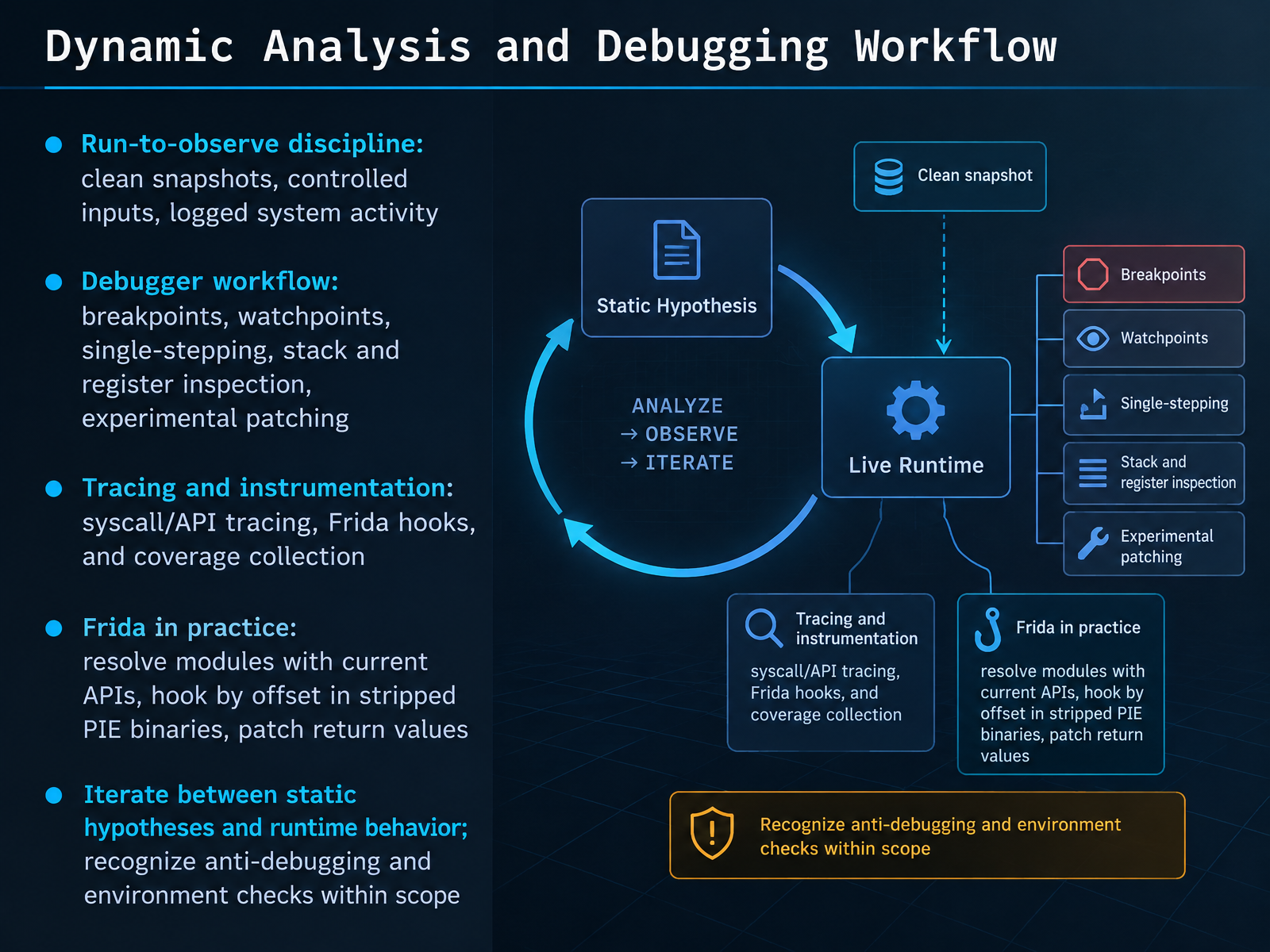 Dynamic Analysis and Debugging Workflow